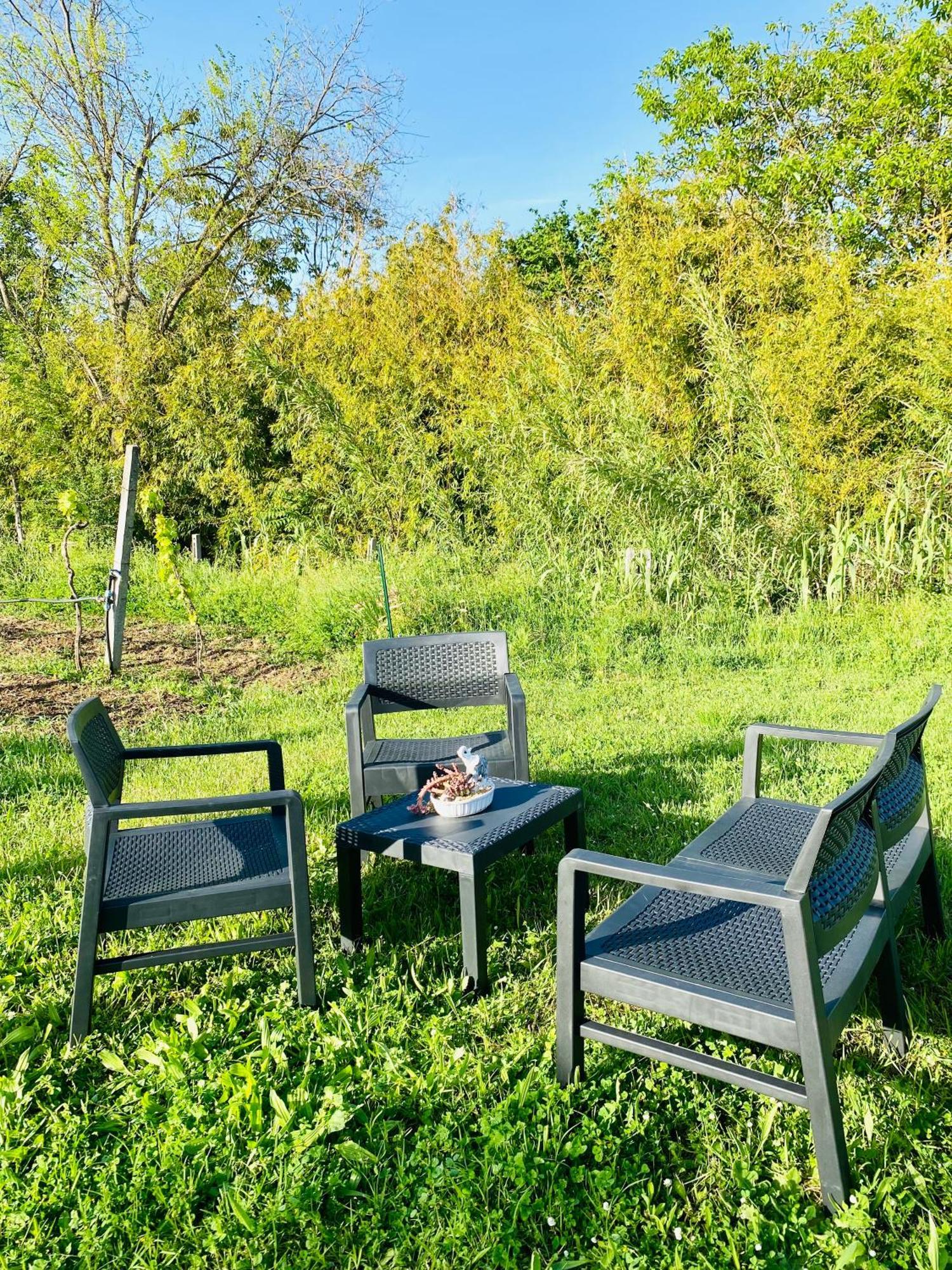 Villa Bubù, Appartamento Country-chic Rome Extérieur photo