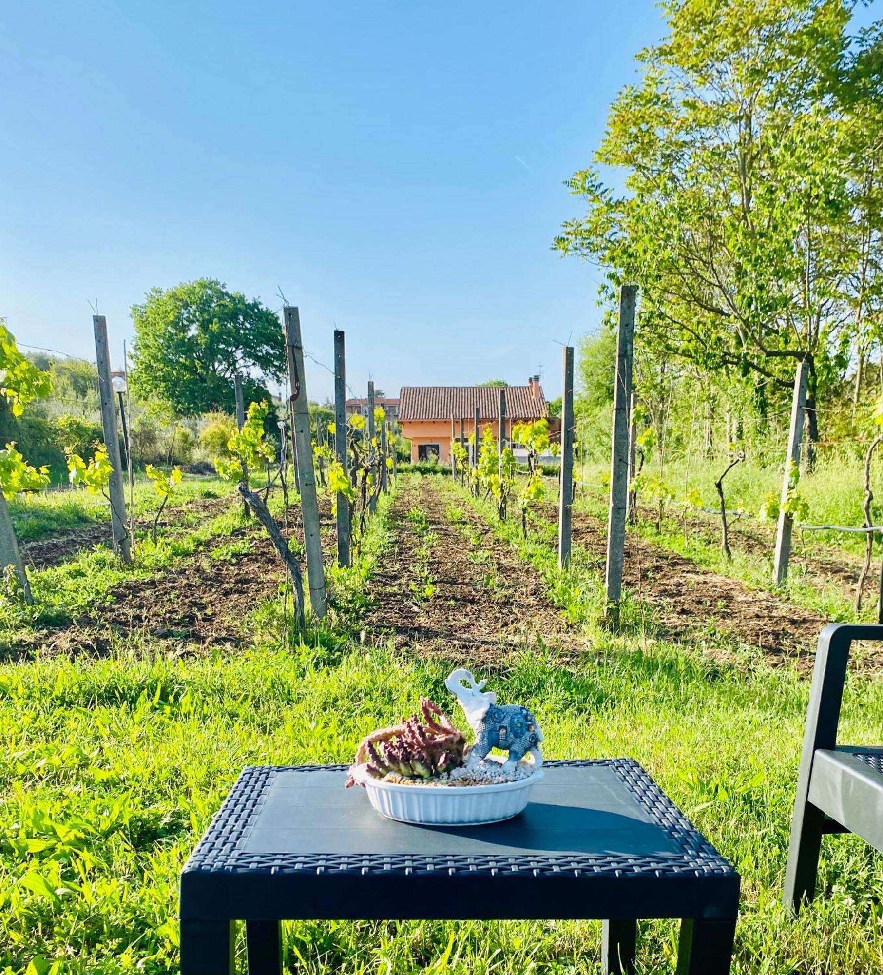 Villa Bubù, Appartamento Country-chic Rome Extérieur photo