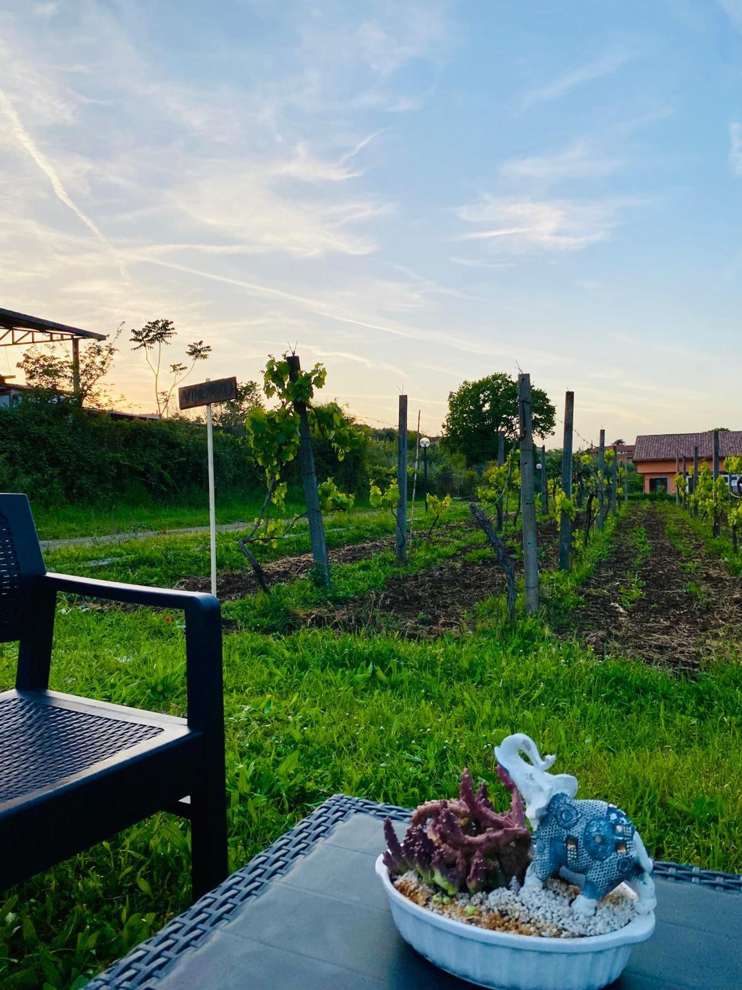 Villa Bubù, Appartamento Country-chic Rome Extérieur photo